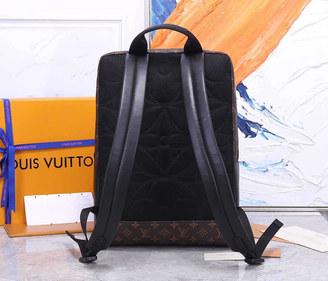 Replica Louis Vuitton Aaa-Dean Backpack M45335