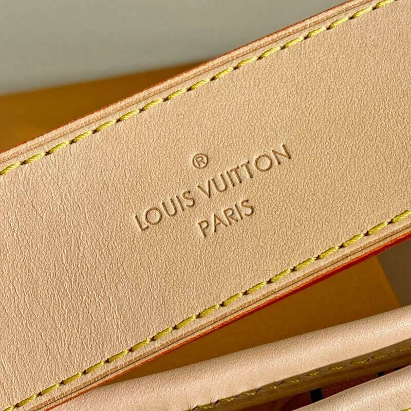 Replica Louis Vuitton Damier Azur Canvas Delightful Mm N41448