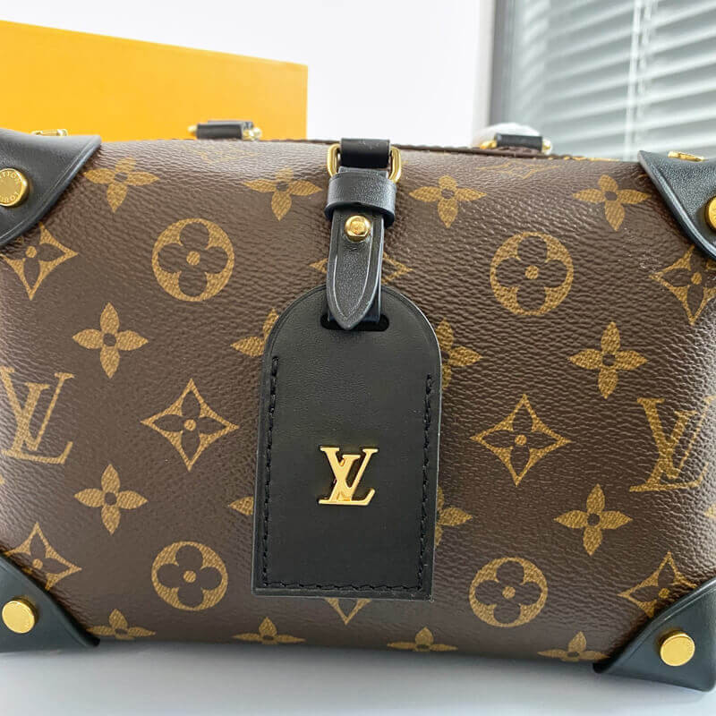 Replica Louis Vuitton Petite Malle Souple M45531 M45571