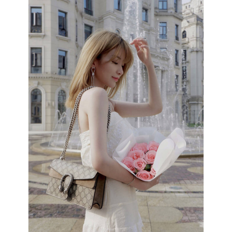 Replica Gucci Dionysus Gg Canvas Small Shoulder Bag 499623