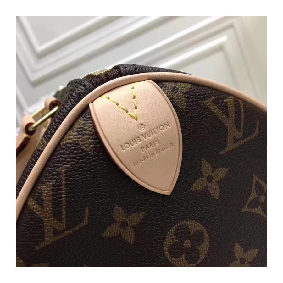 Replica Louis Vuitton Monogram Canvas Speedy 25 M41109