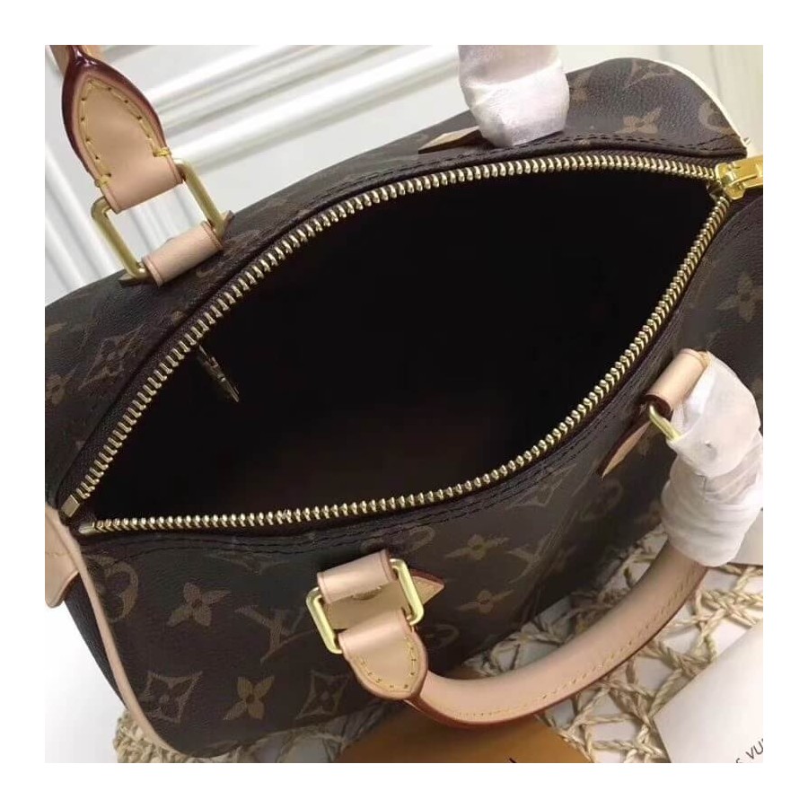 Replica Louis Vuitton Monogram Canvas Speedy 25 M41109