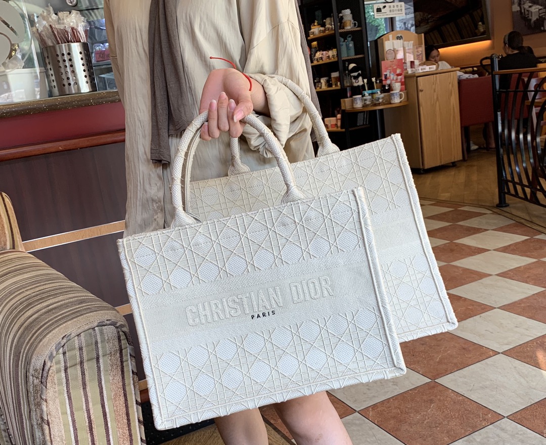 Replica Dior Small Book Tote Multi Colors