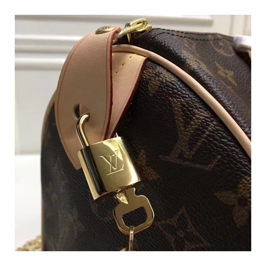 Replica Louis Vuitton Monogram Canvas Speedy 25 M41109