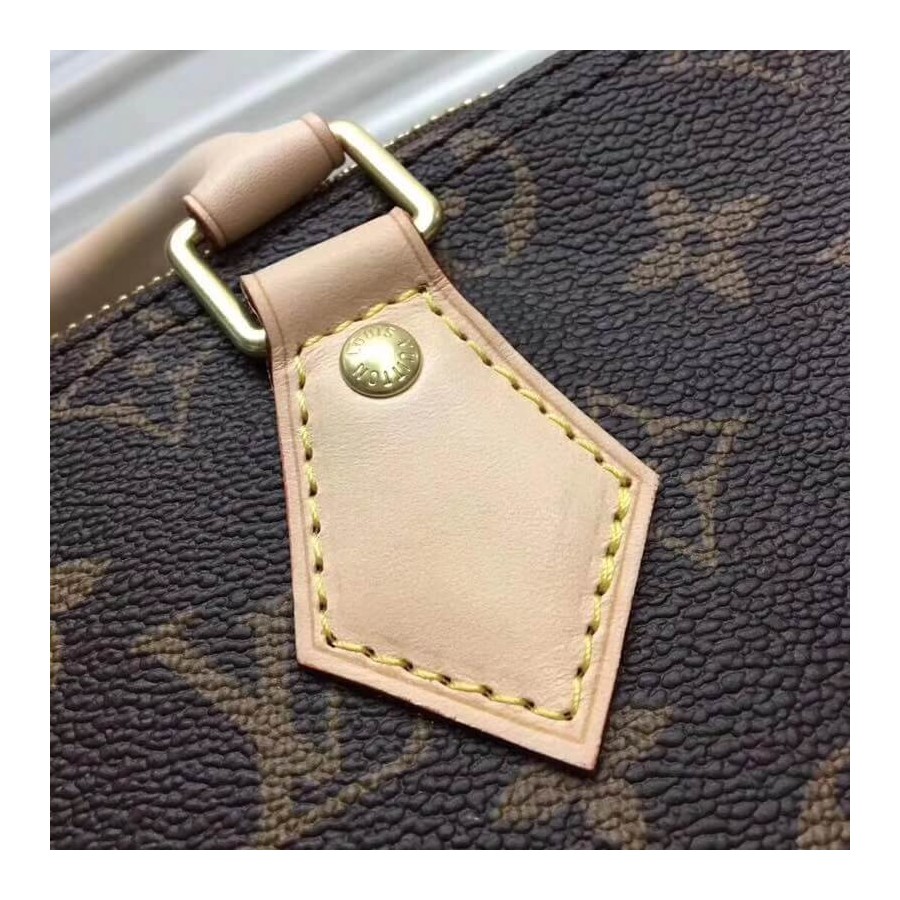 Replica Louis Vuitton Monogram Canvas Speedy 25 M41109