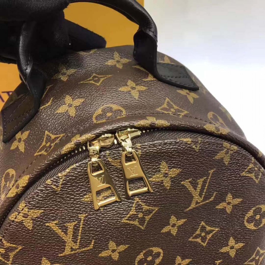 Replica Louis Vuitton Monogram Canvas Palm Springs Backpack Pm M41560