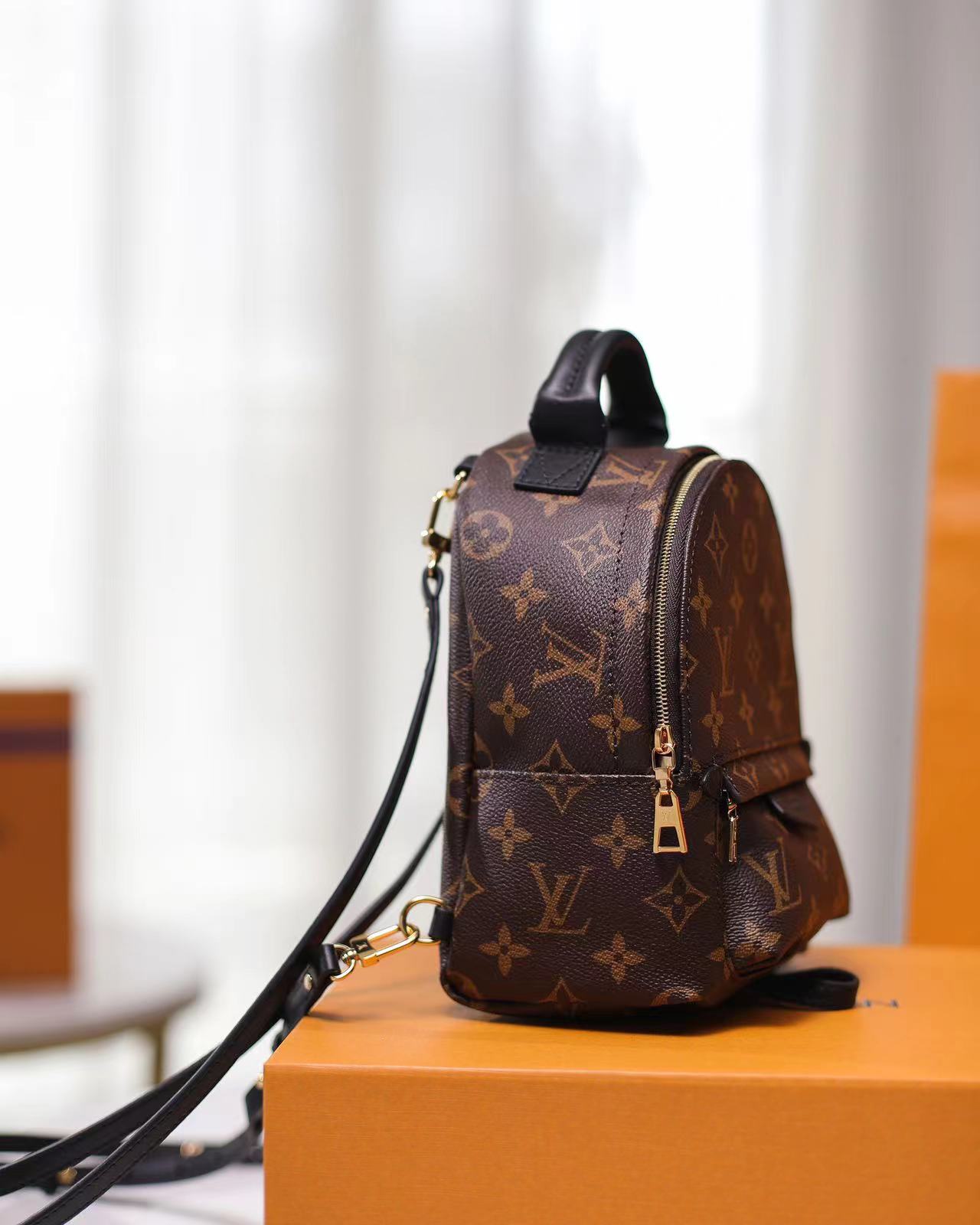 Replica Louis Vuitton M44873 Palm Springs Mini