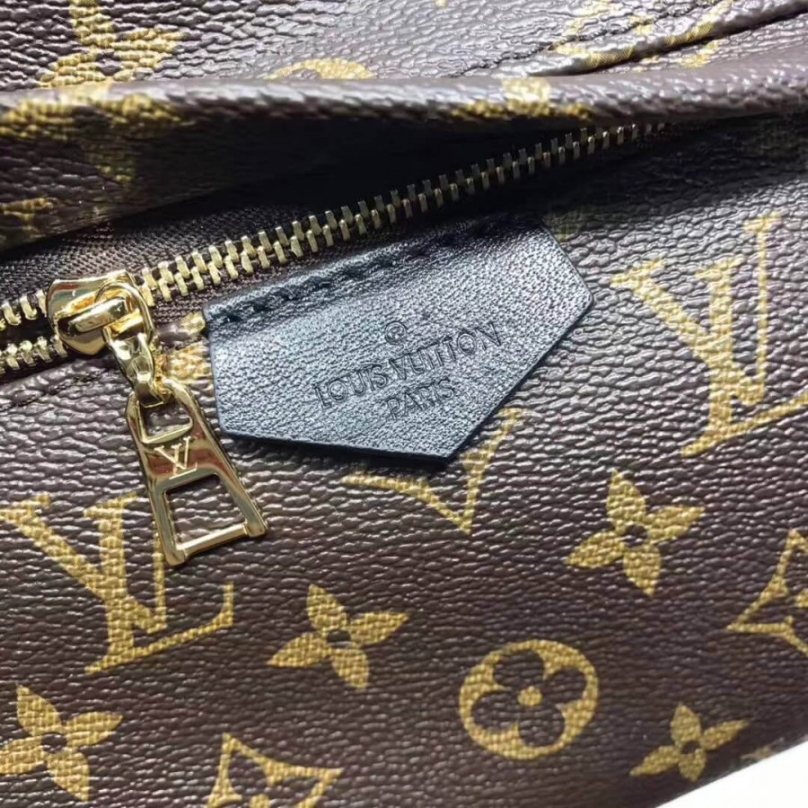 Replica Louis Vuitton Monogram Canvas Palm Springs Backpack Mm M41561