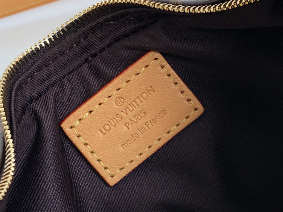 Replica Louis Vuitton Aaa Monogram Loop Handbag