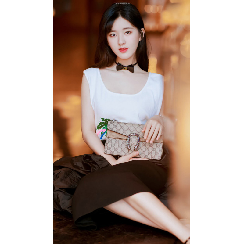 Replica Gucci Dionysus Gg Canvas Small Shoulder Bag 499623