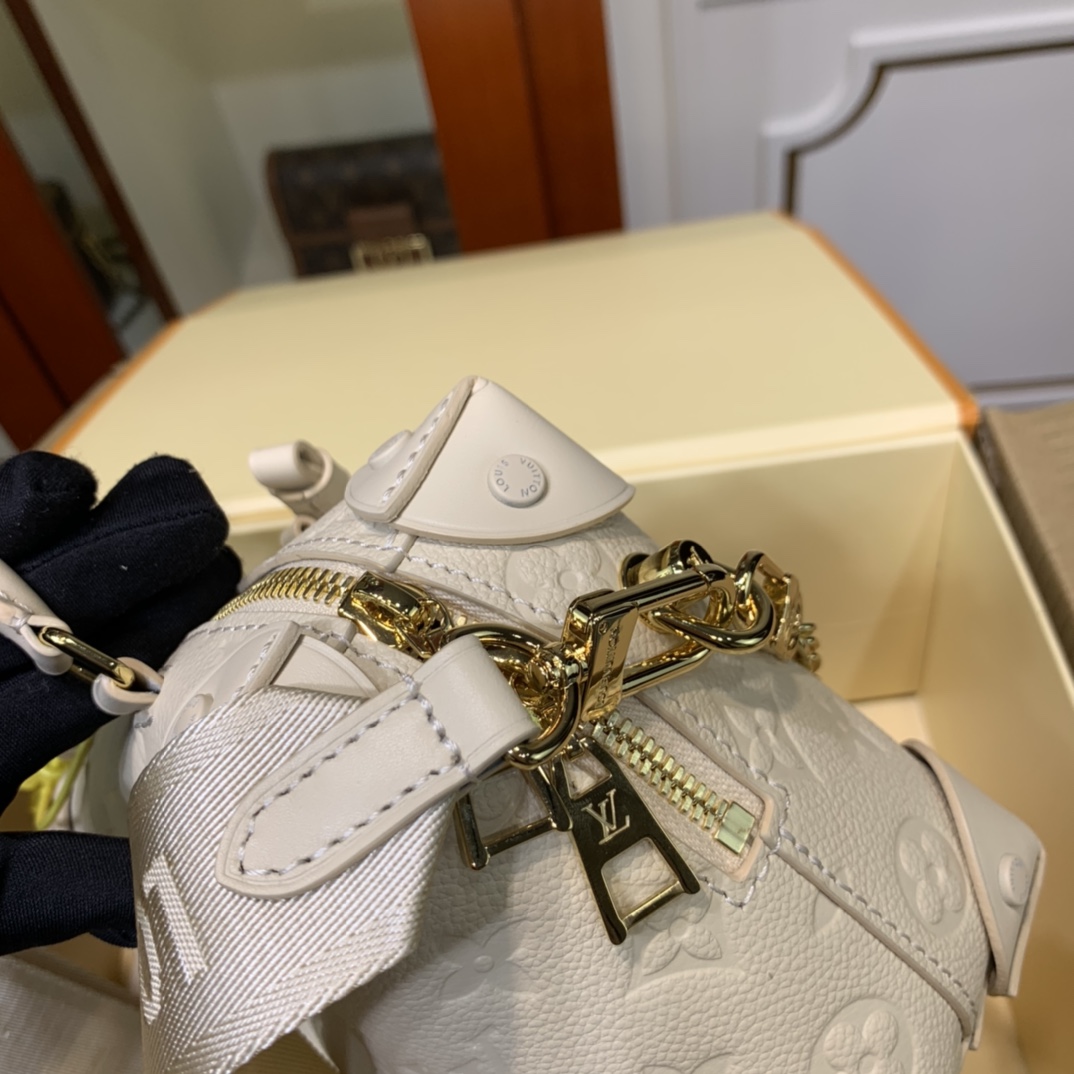 Replica Louis Vuitton Aaa-Petite Malle Souple-M45393