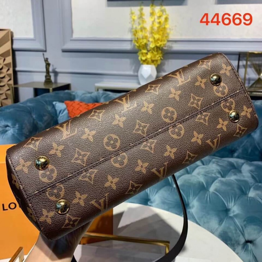 Replica Louis Vuitton Monogram Canvas Cluny Mm M44669