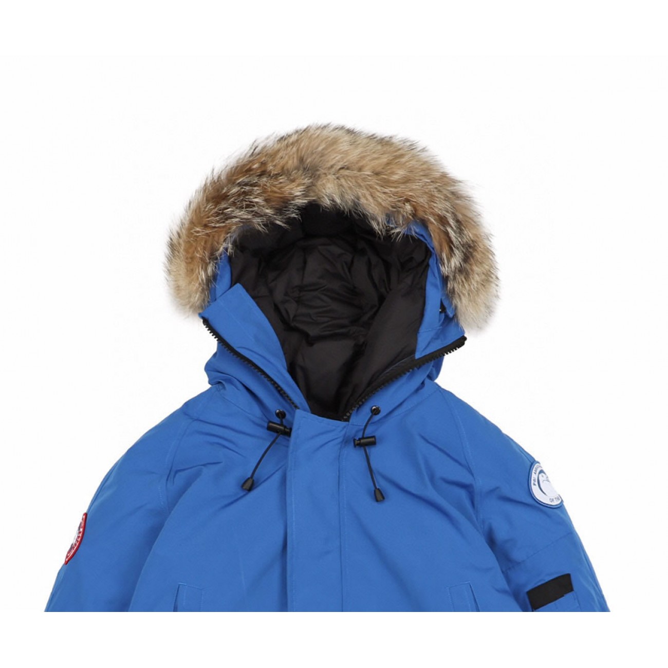 01 ' Canada Goose '19Fw PBI Chilliwack 7999MPB' Down Jacket Coat Sky Blue