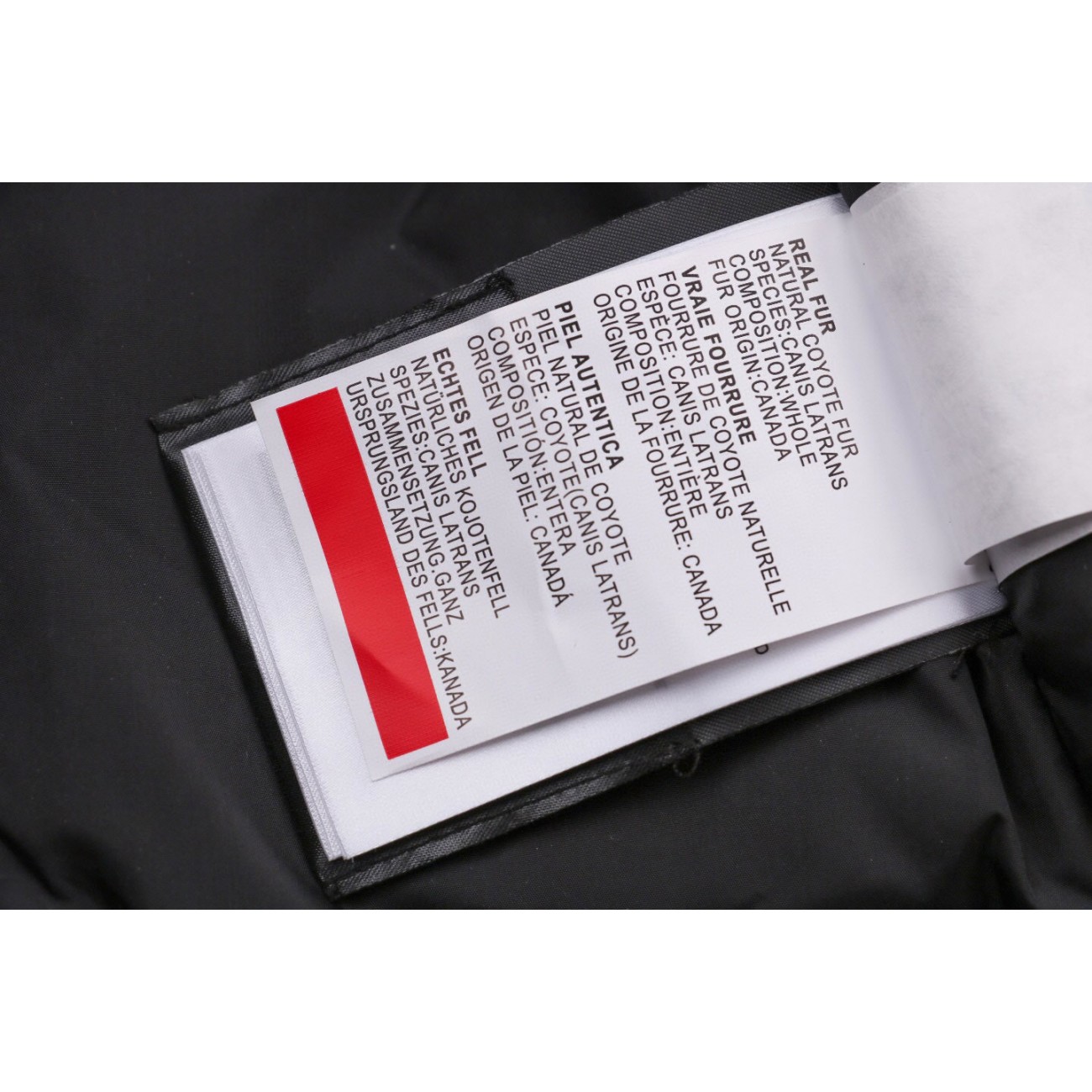 08 ' Canada Goose '19FW Expedition 4660MA Down Jacket Coat Purple