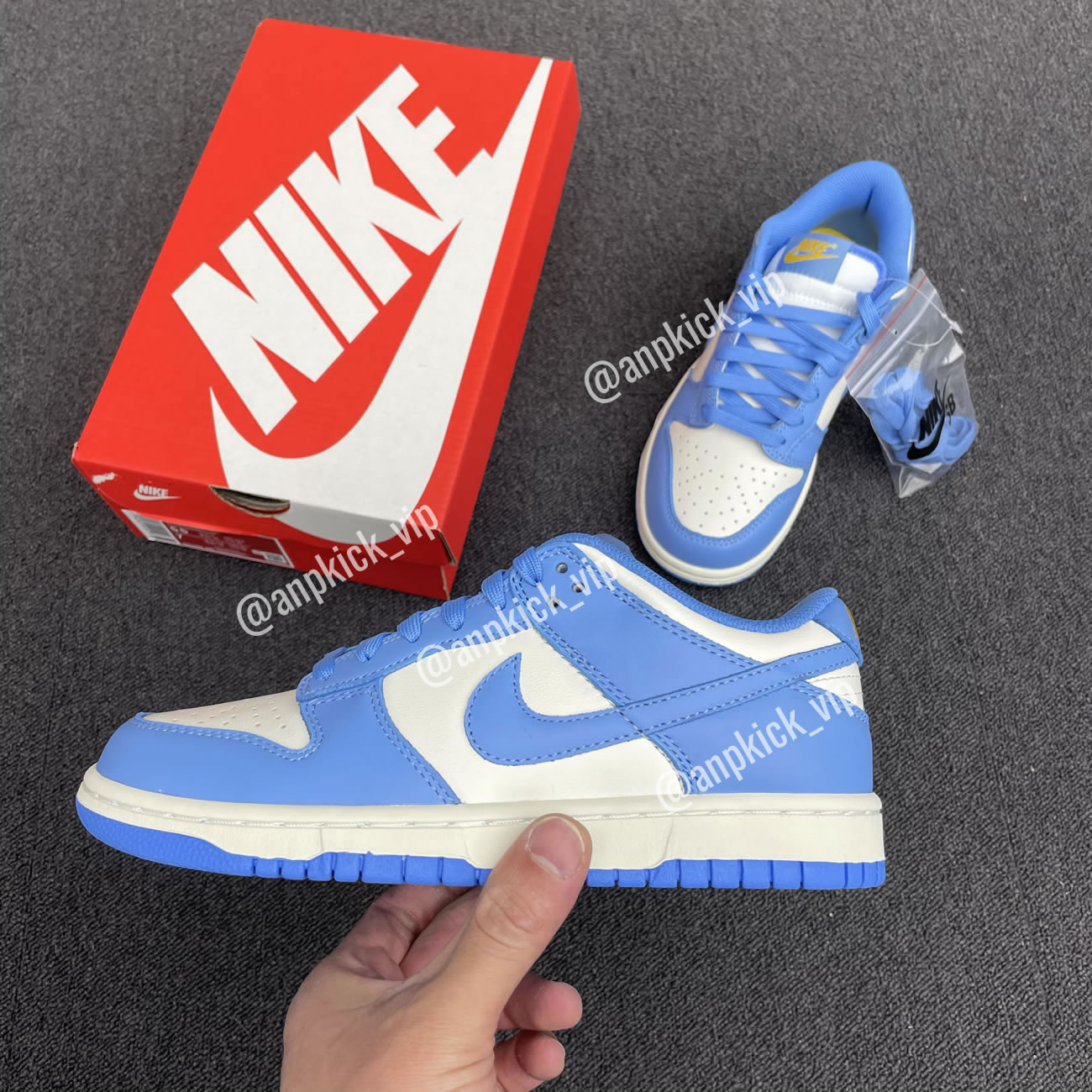 Nike Dunk Low Coast DD1503-100