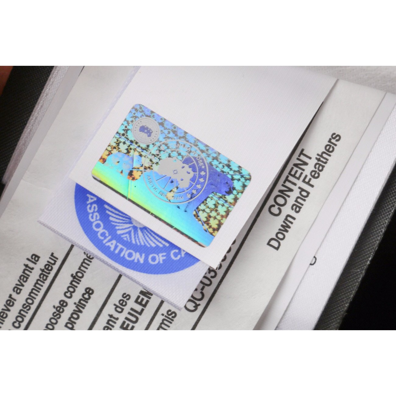 08 ' Canada Goose '19FW Expedition 4660MA Down Jacket Coat Sky Blue