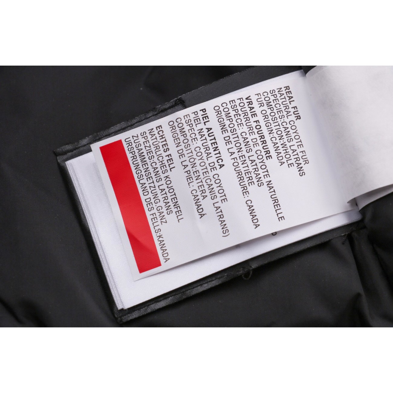 08 ' Canada Goose '19FW Expedition 4660MA Down Jacket Coat Yellow