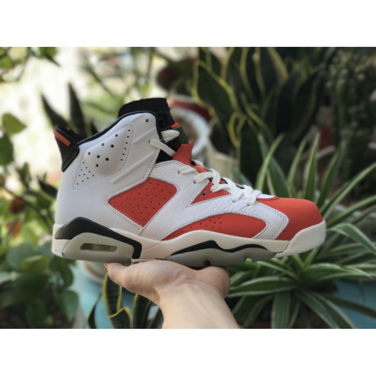 Air Jordan 6 Gatorade 384664-145