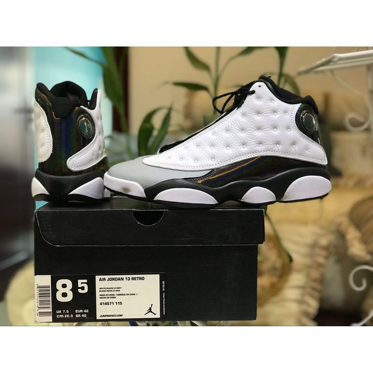 Air Jordan 13 Hologram Baron 414571-115
