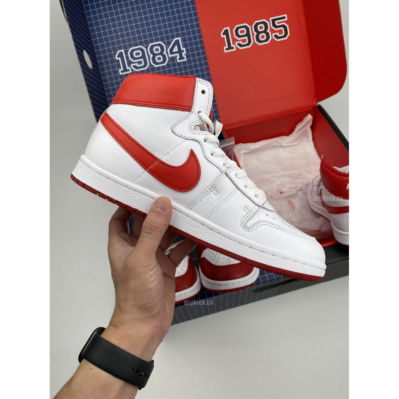 Nike/Air Jordan 1 1984 And 1985 New Beginnings Pack CT6252-900