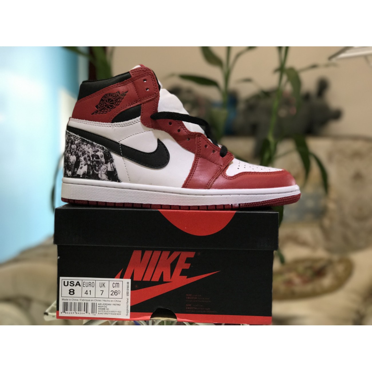 Air jordan 1 Chicago Cartoon 555088-101
