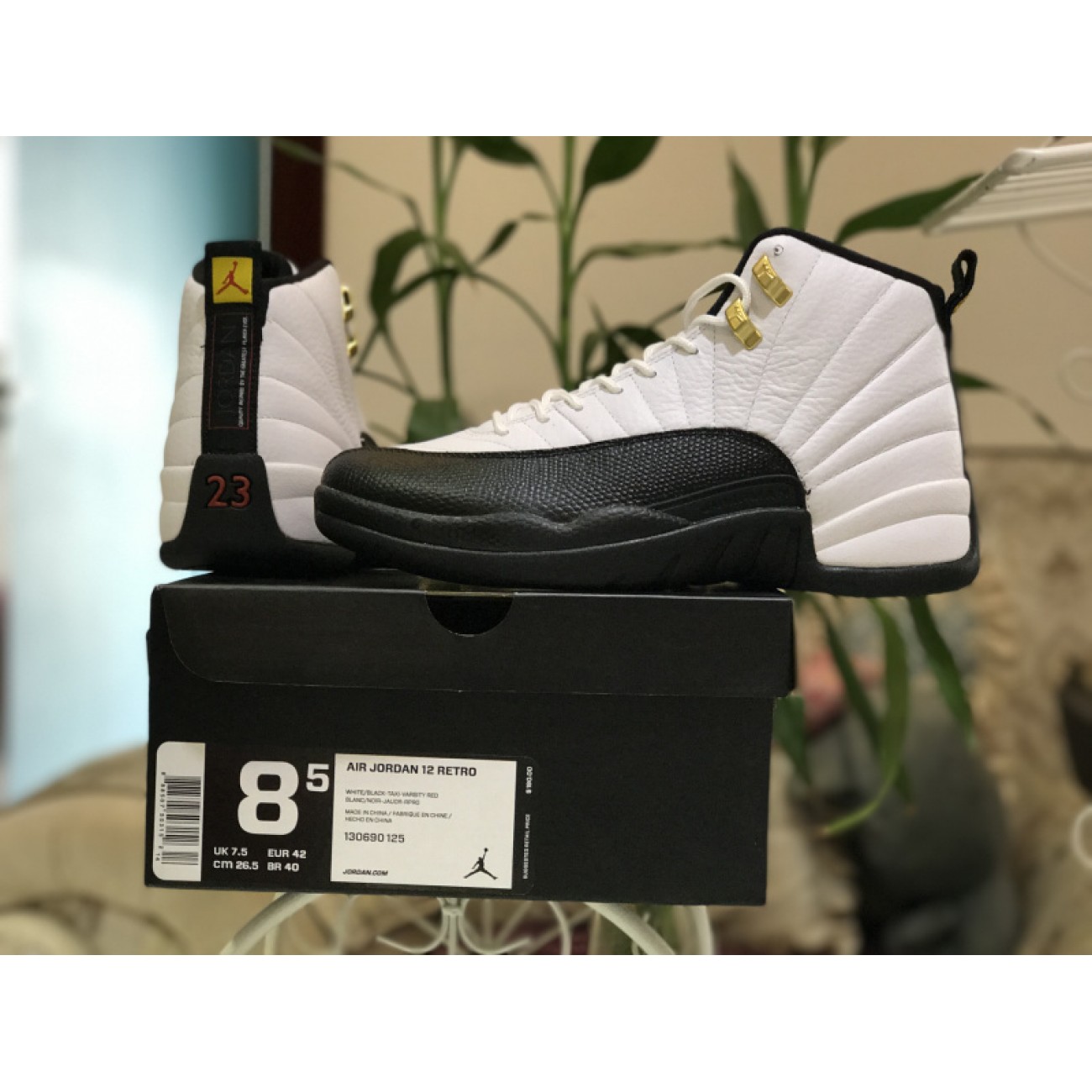 Air Jordan 12 Taxi 130690-125