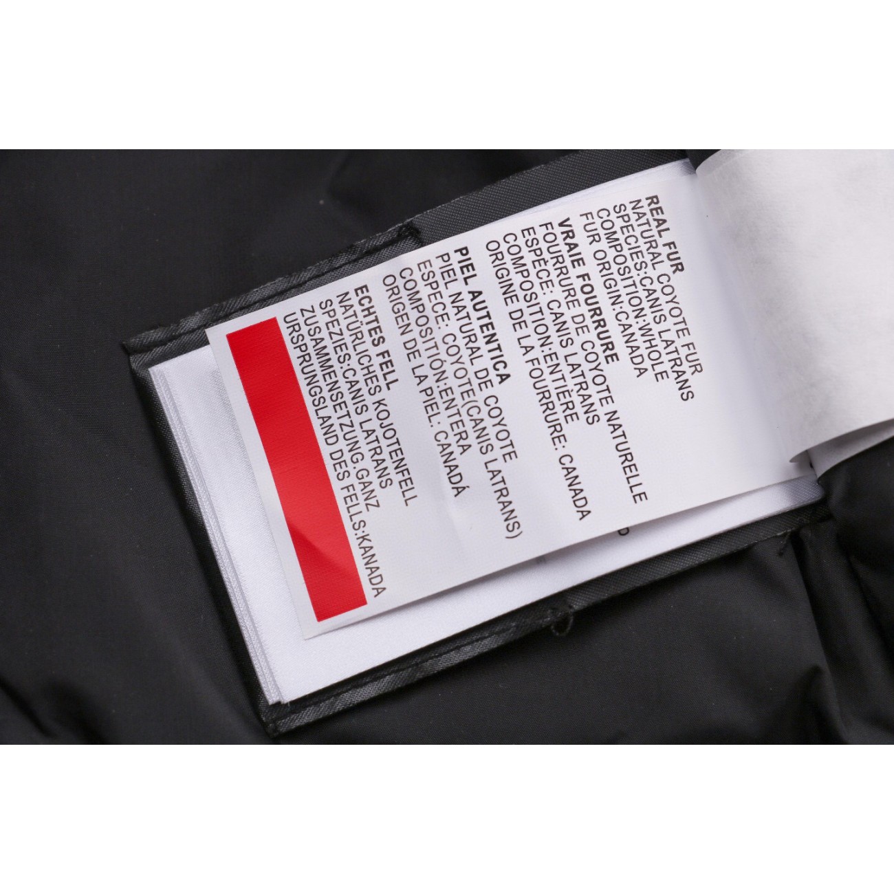 08 ' Canada Goose '19FW Expedition 4660MA Down Jacket Coat Pink