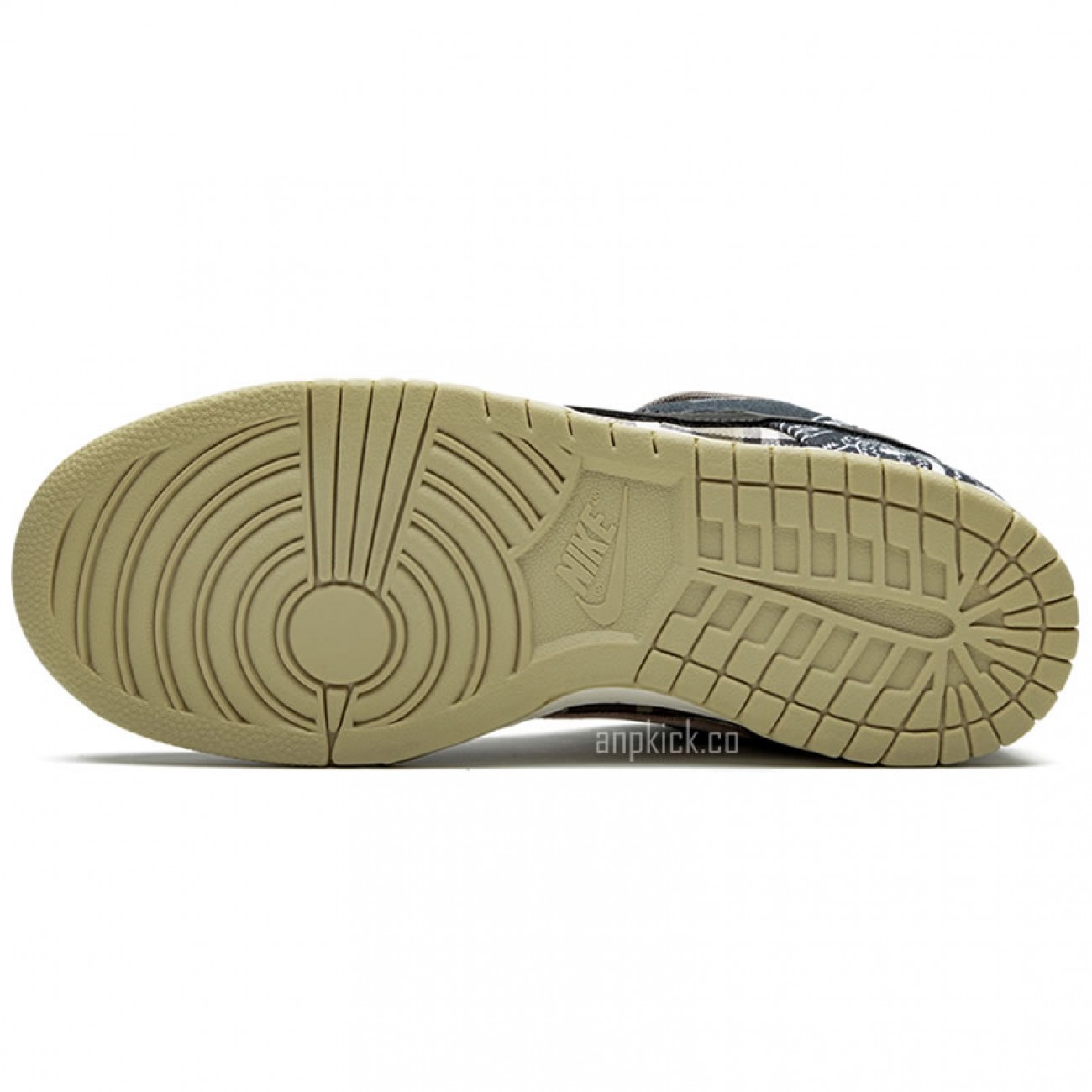 Travis Scott x Nike SB Dunk Low Cactus Jack Special Box CT5053-001