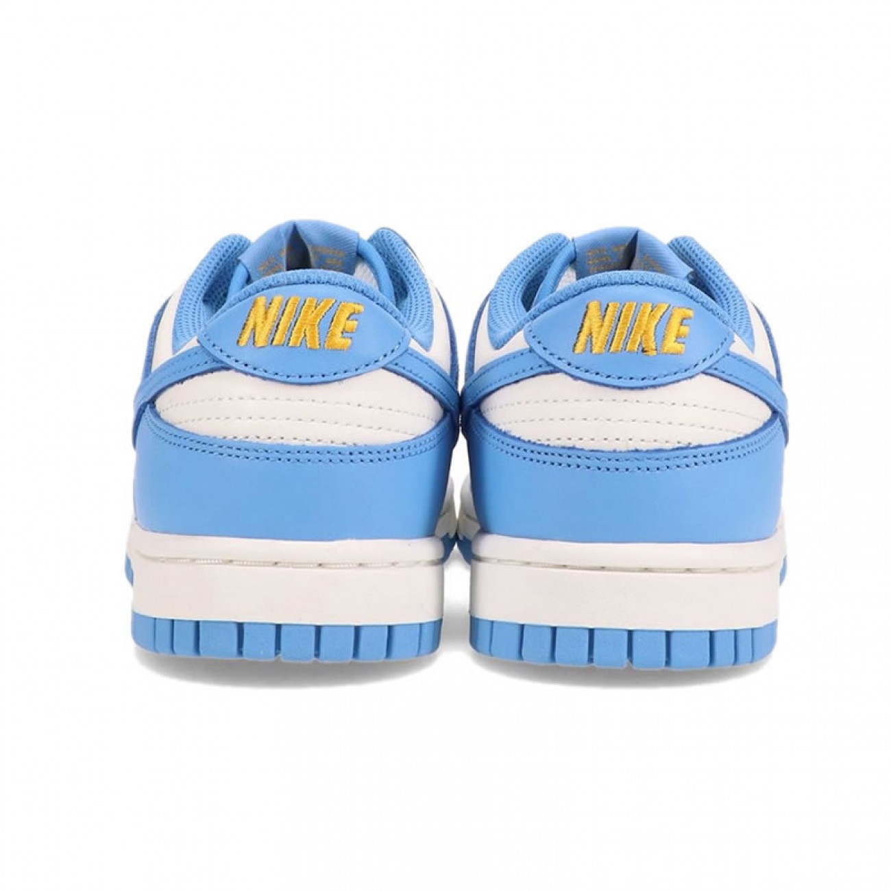 Nike Dunk Low Coast DD1503-100