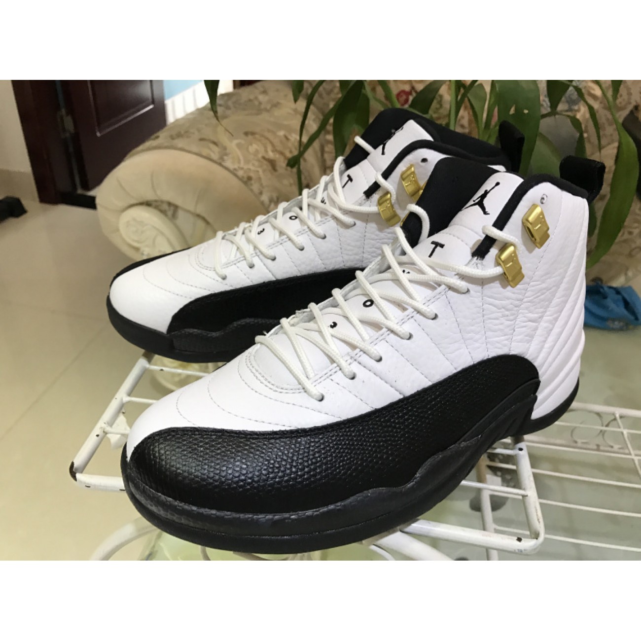 Air Jordan 12 Taxi 130690-125