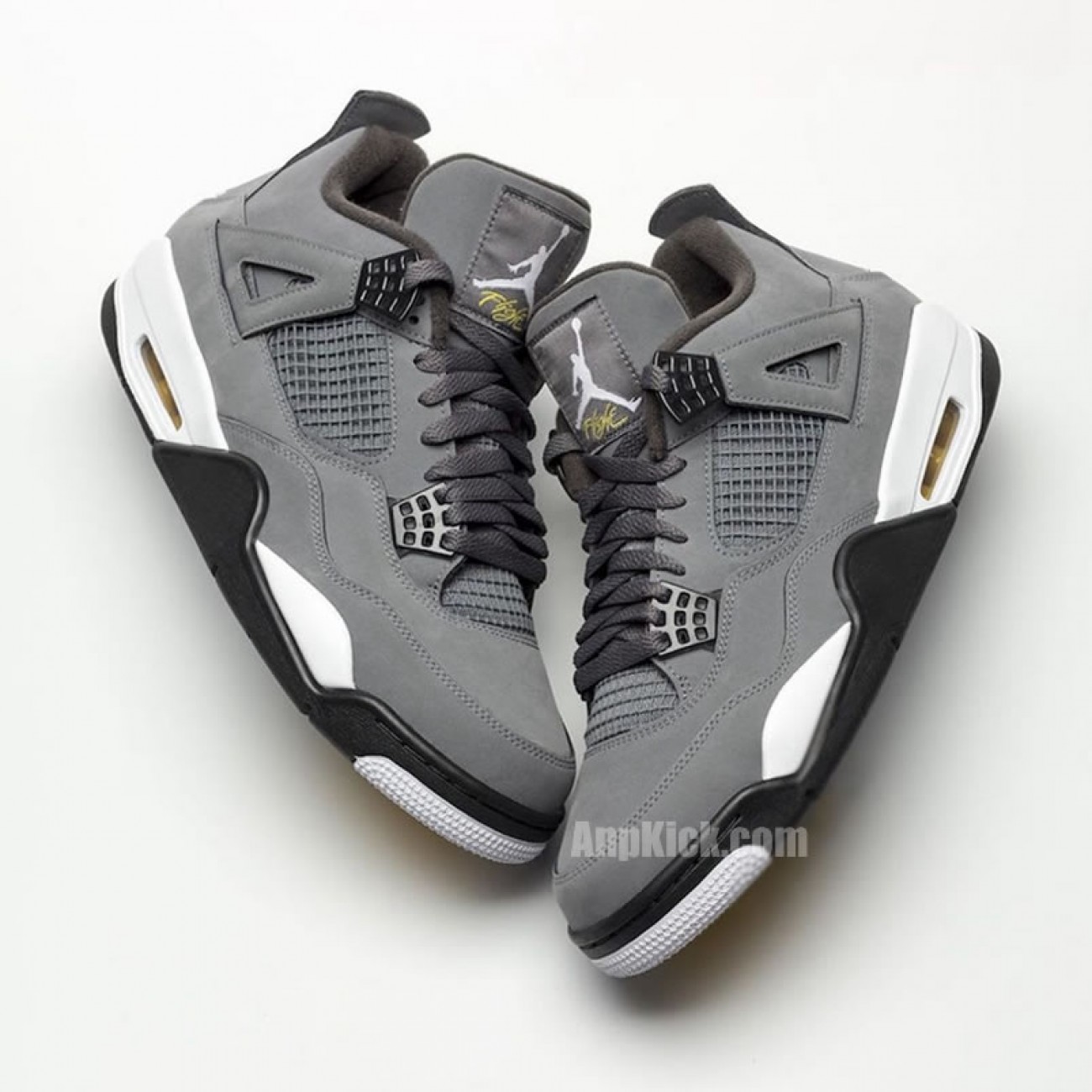 Air Jordan 4 Cool Grey 2019 On Feet Release Date 308497-007