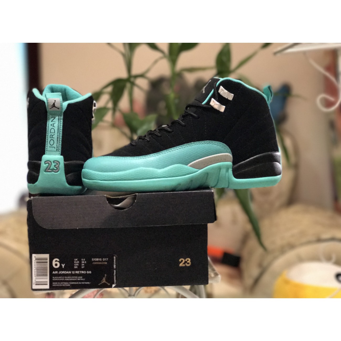 Air Jordan 12 GS Hyper Jade 510815-017