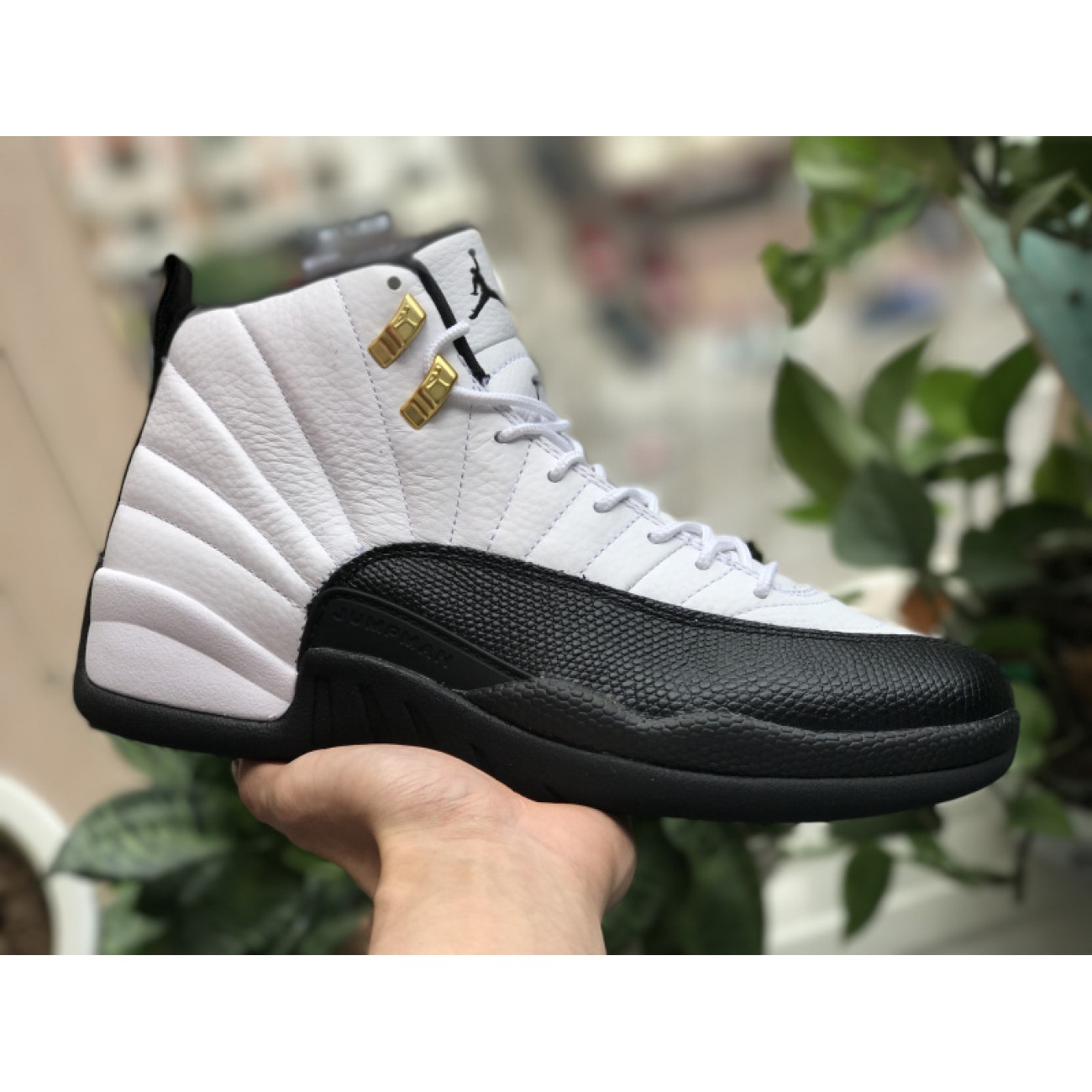 Air Jordan 12 Taxi 130690-125