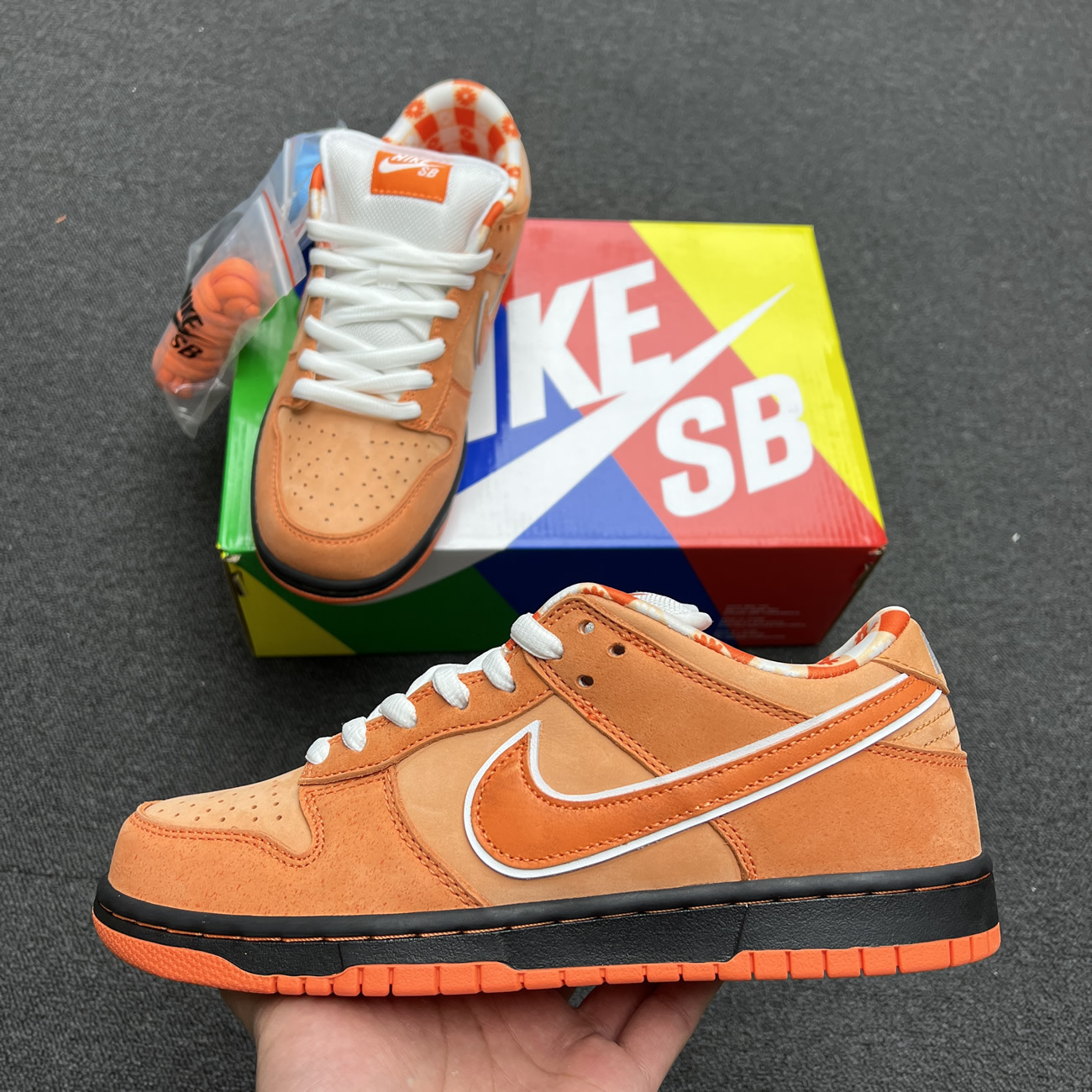 Nike SB Dunk Low Concepts Blue Lobster/Green Lobster/Purple Lobster/Red Lobster