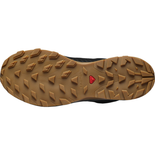 Salomon Men's Outbound Prism GoreTex Hiking Shoe