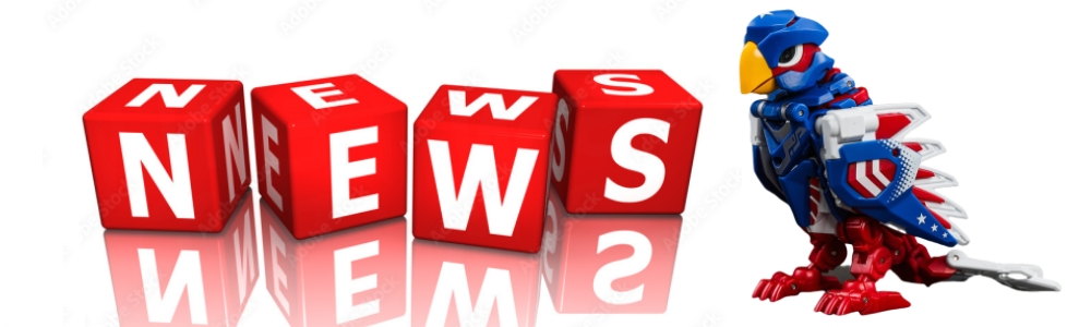 Toys Information - JOYTOY WORLD