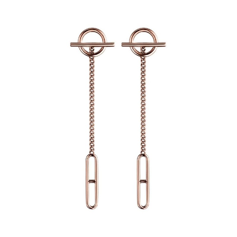 Hermes Earrings