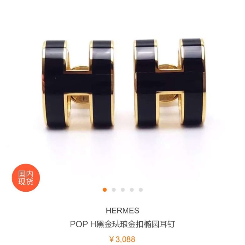 Hermes Earrings