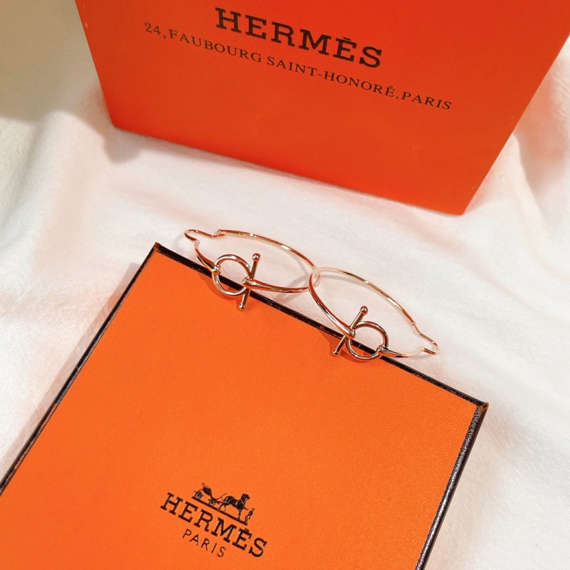 Hermes Earrings