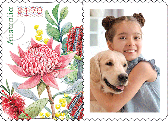 Native flowers - Booklet of 100x $1.70 Stamps