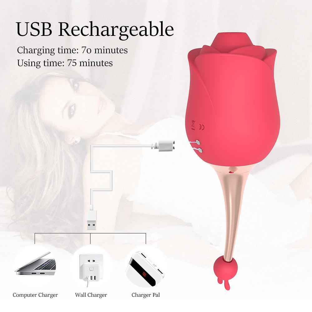 Rose Sucking Pinpoint Vibrator with 2 Attachments