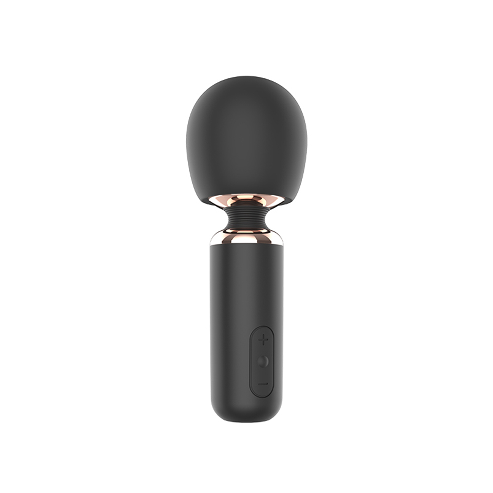 Mini Massager