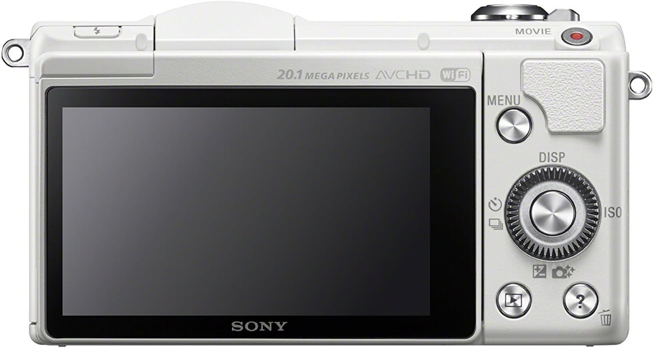 Sony Alpha a5000 Mirrorless Digital Camera with 16-50mm OSS Lens (Black)