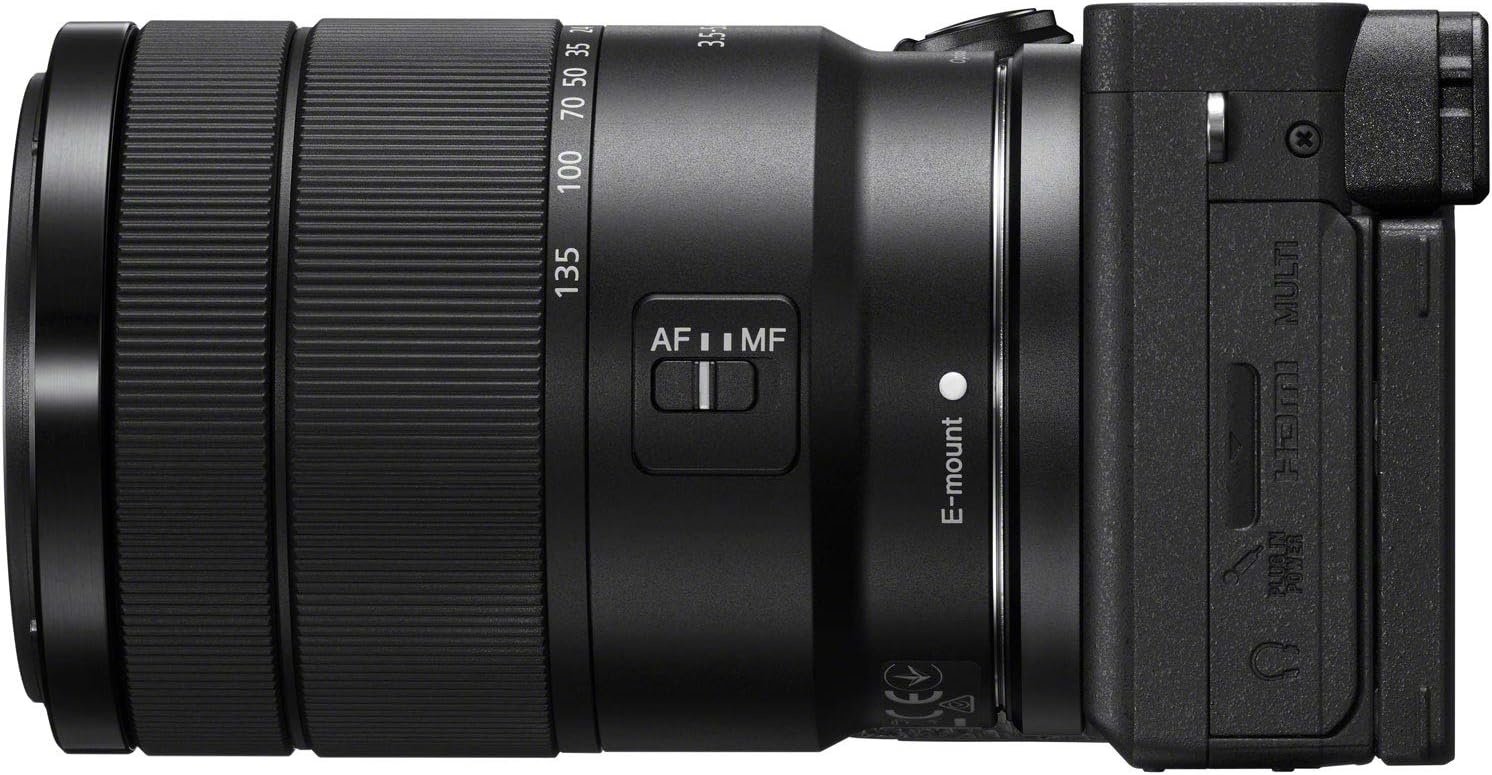 Sony a6600 Mirrorless Camera 4K APS-C Body Only Interchangeable Lens Camera ILCE-6600B | Official Sony USA Partner Model | Bundle with Deco Gear Case + Extra Battery + Wireless Remote + 64GB Card