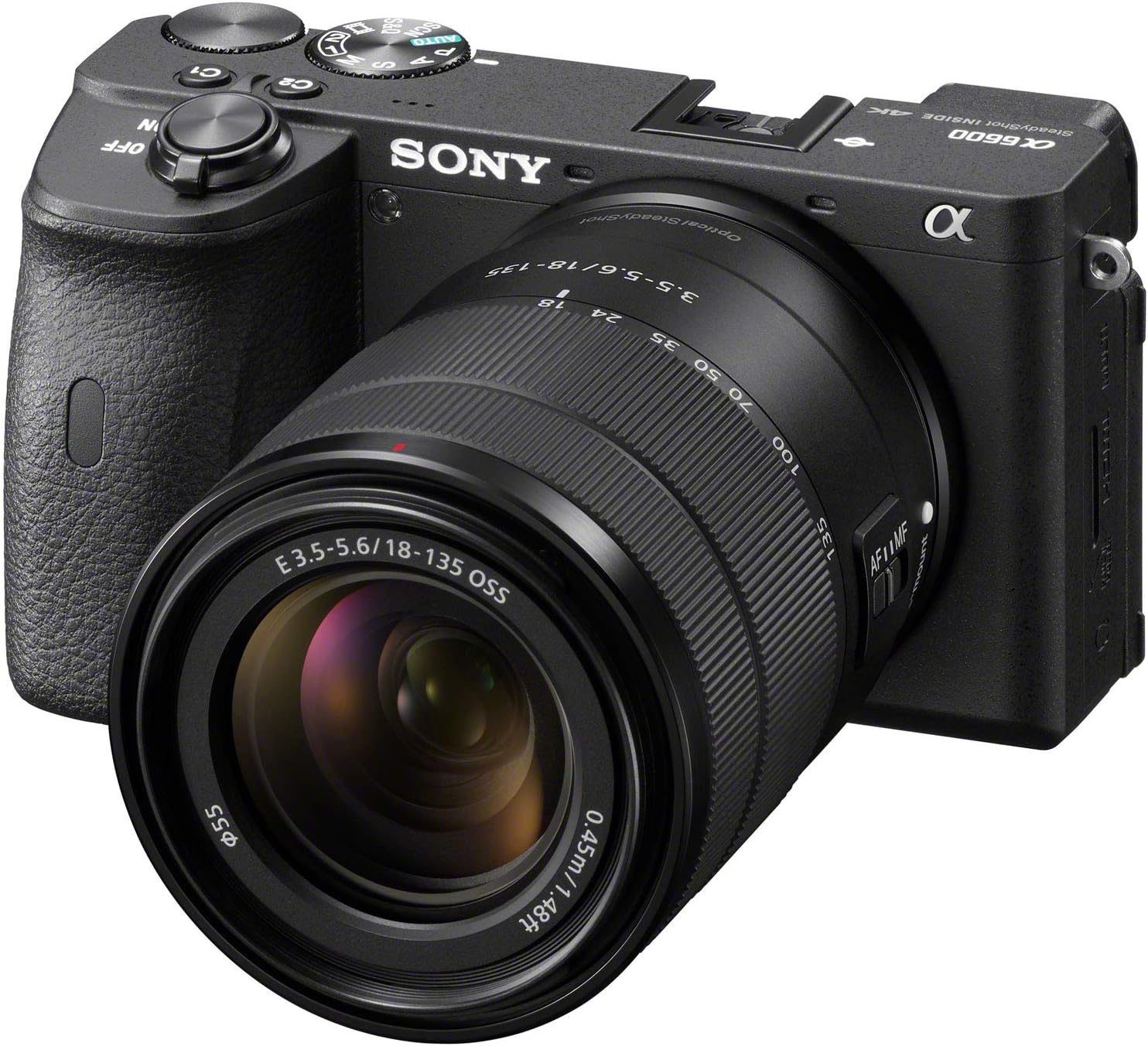 Sony a6600 Mirrorless Camera 4K APS-C Body Only Interchangeable Lens Camera ILCE-6600B | Official Sony USA Partner Model | Bundle with Deco Gear Case + Extra Battery + Wireless Remote + 64GB Card