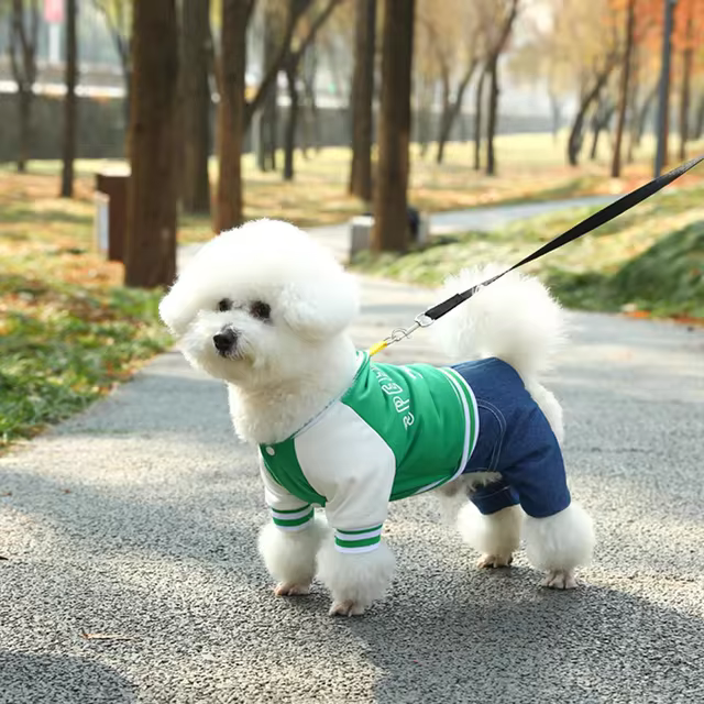 Dog Baseball Jumpsuit, A Soft And Comfortable Pet Jacket, Stylish Pet Clothing Suitable For Small And Medium Breeds - Pets BoxsDog Baseball Jumpsuit, A Soft And Comfortable Pet Jacket, Stylish Pet Clothing Suitable For Small And Medium Breeds$6.24mysitePets Boxs