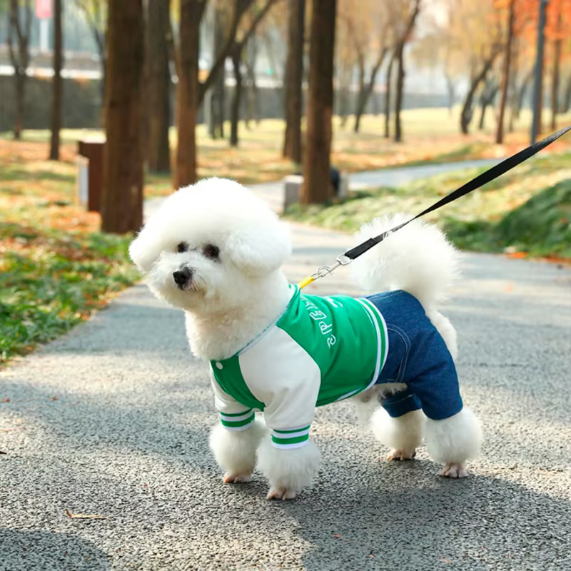 Dog Baseball Jumpsuit, A Soft And Comfortable Pet Jacket, Stylish Pet Clothing Suitable For Small And Medium Breeds - Pets BoxsDog Baseball Jumpsuit, A Soft And Comfortable Pet Jacket, Stylish Pet Clothing Suitable For Small And Medium Breeds$6.24mysitePets Boxs