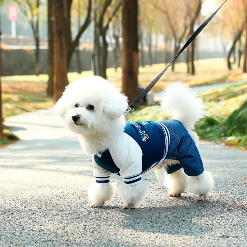 Dog Baseball Jumpsuit, A Soft And Comfortable Pet Jacket, Stylish Pet Clothing Suitable For Small And Medium Breeds - Pets BoxsDog Baseball Jumpsuit, A Soft And Comfortable Pet Jacket, Stylish Pet Clothing Suitable For Small And Medium Breeds$6.24mysitePets Boxs