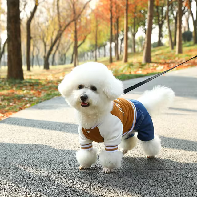 Dog Baseball Jumpsuit, A Soft And Comfortable Pet Jacket, Stylish Pet Clothing Suitable For Small And Medium Breeds - Pets BoxsDog Baseball Jumpsuit, A Soft And Comfortable Pet Jacket, Stylish Pet Clothing Suitable For Small And Medium Breeds$6.24mysitePets Boxs