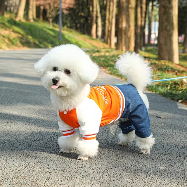 Dog Baseball Jumpsuit, A Soft And Comfortable Pet Jacket, Stylish Pet Clothing Suitable For Small And Medium Breeds - Pets BoxsDog Baseball Jumpsuit, A Soft And Comfortable Pet Jacket, Stylish Pet Clothing Suitable For Small And Medium Breeds$6.24mysitePets Boxs